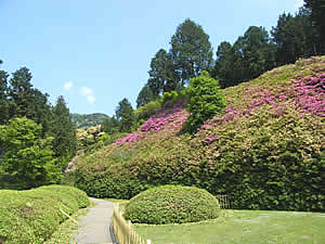 三室寺庭園の写真