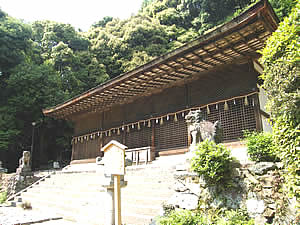 宇治上神社の写真