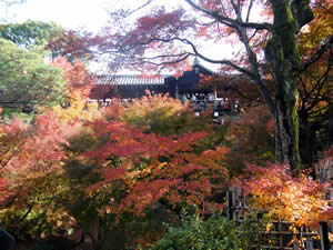 東福寺の紅葉の写真