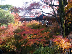 東福寺の紅葉の写真