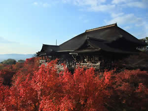 清水寺の紅葉の写真