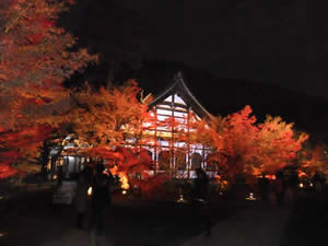 永観堂の紅葉の写真