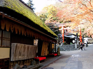 鳥居本の紅葉の写真