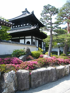 東福寺のサツキの写真
