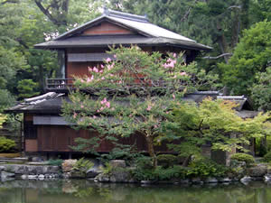 京都御苑・九条池（九条邸跡）の百日紅の写真