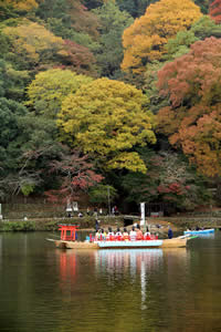 嵐山もみじ祭りの写真