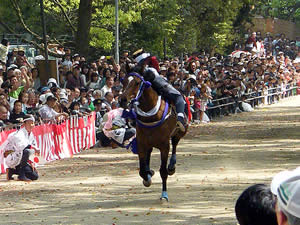 藤森祭 駈馬神事の写真