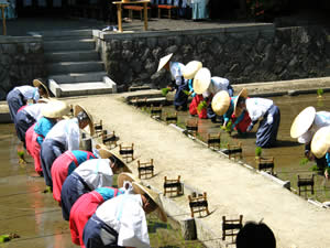 お田植祭の写真