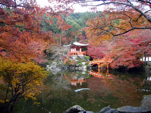 醍醐寺の紅葉1