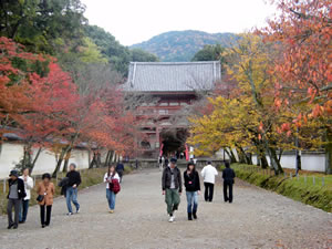 醍醐寺の紅葉2