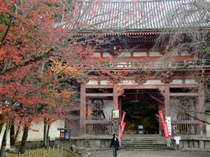 醍醐寺の紅葉3