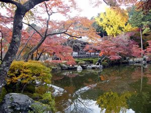 醍醐寺の紅葉6