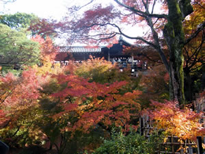 東福寺の紅葉1