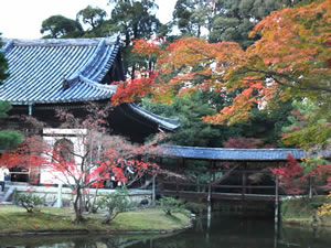 高台寺の紅葉1