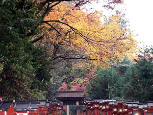 貴船神社の紅葉1