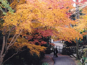 貴船神社の紅葉3