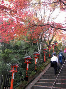 鞍馬寺の紅葉2