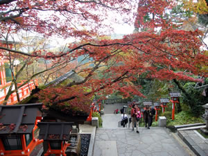 鞍馬寺の紅葉3