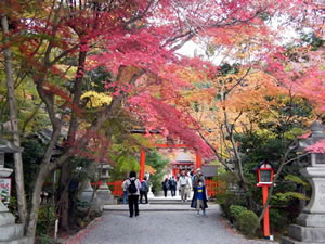 大原野神社の紅葉1