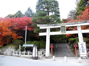 大原野神社の紅葉2