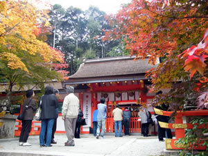 大原野神社の紅葉3