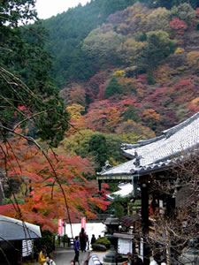 善峰寺の紅葉5