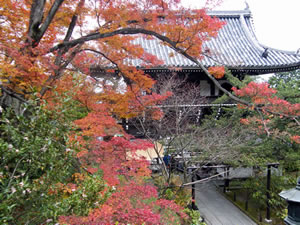 善峰寺の紅葉6