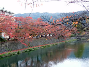 六勝寺のこみちの紅葉1