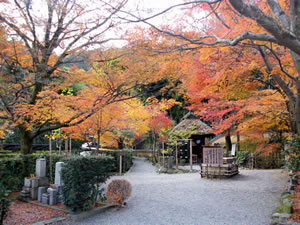 化野念仏寺の紅葉4