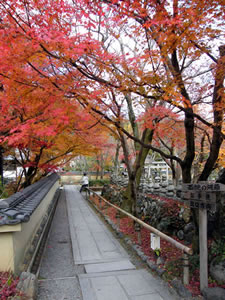 化野念仏寺の紅葉5