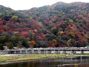 嵐山の紅葉2