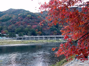 嵐山の紅葉3