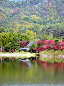 広沢の池の紅葉1