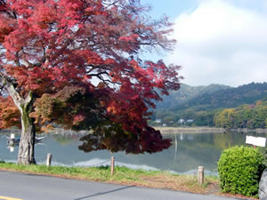 広沢の池の紅葉2