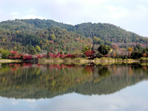 広沢の池の紅葉3