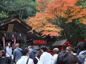 野宮神社の紅葉2