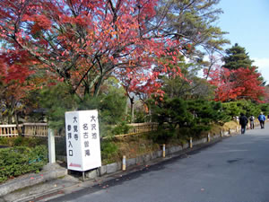 大覚寺の紅葉2