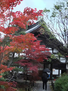 清涼寺の紅葉1