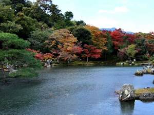 天龍寺の紅葉1