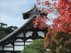 天龍寺の紅葉4