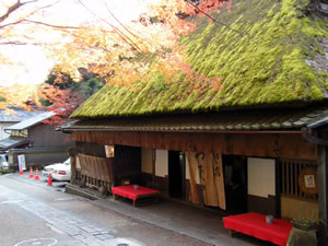 鳥居本の紅葉2