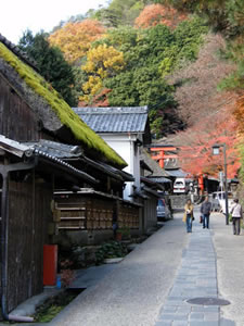 鳥居本の紅葉3