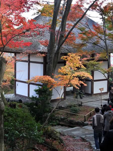 常寂光寺の紅葉3