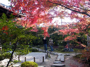 金福寺の紅葉3