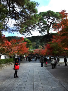 永観堂の紅葉2