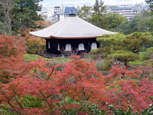 銀閣寺の紅葉1