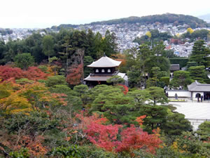 銀閣寺の紅葉4