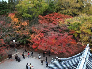 南禅寺の紅葉2