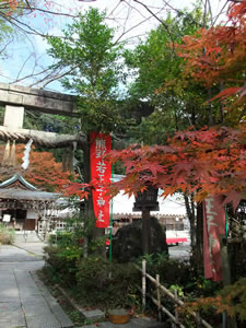 若王子神社の紅葉1