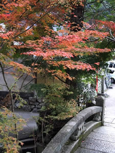 若王子神社の紅葉3